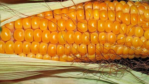 Čo nejesť pri keto diéte